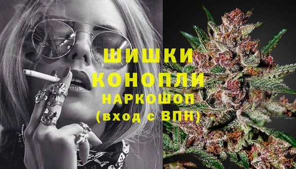 тгк Медвежьегорск