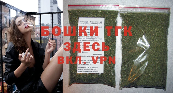тгк Медвежьегорск