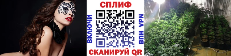 Конопля SATIVA & INDICA  Перевоз 